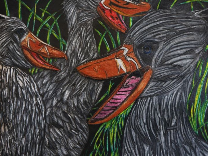 Illustration